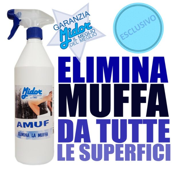 Antimuffa Spray Anti Muffa per Muro Muri e Pareti Muffycid Muffa Stop  Muschi