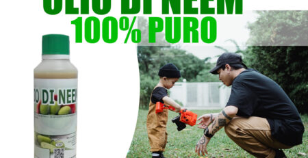 olio di neem puro 100% midor