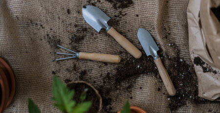 Come pulire attrezzi da giardinaggio