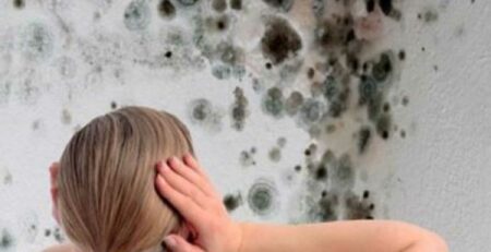 Muffa e antimuffa consigli per eliminarla