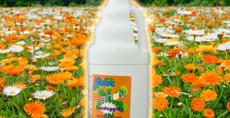 Candeggina Candy Midor